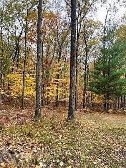 925 W 11 Mile Rd, Bitely, MI 49309 - photo 2