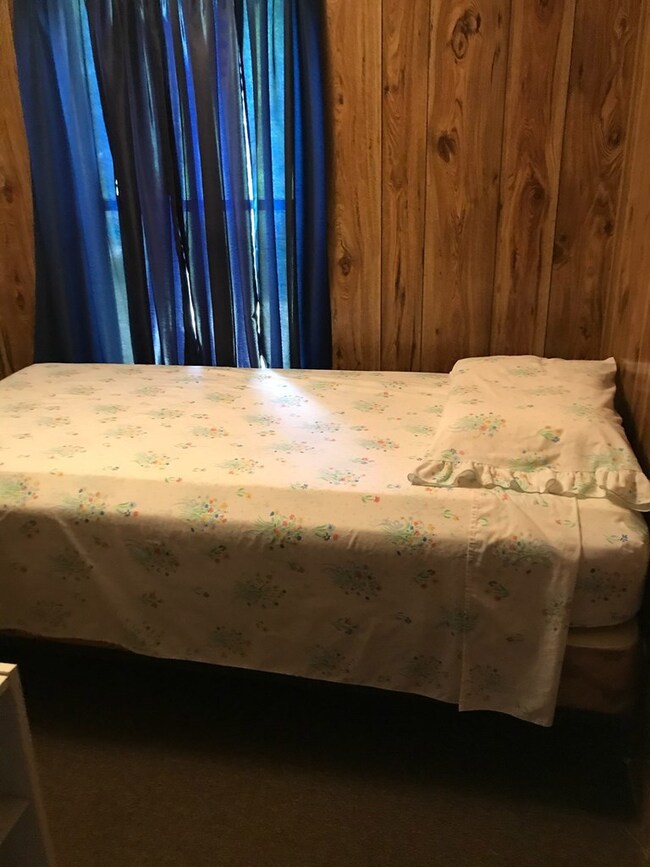 201 5th Ave N, Steinhatchee, FL 32359 - photo 7