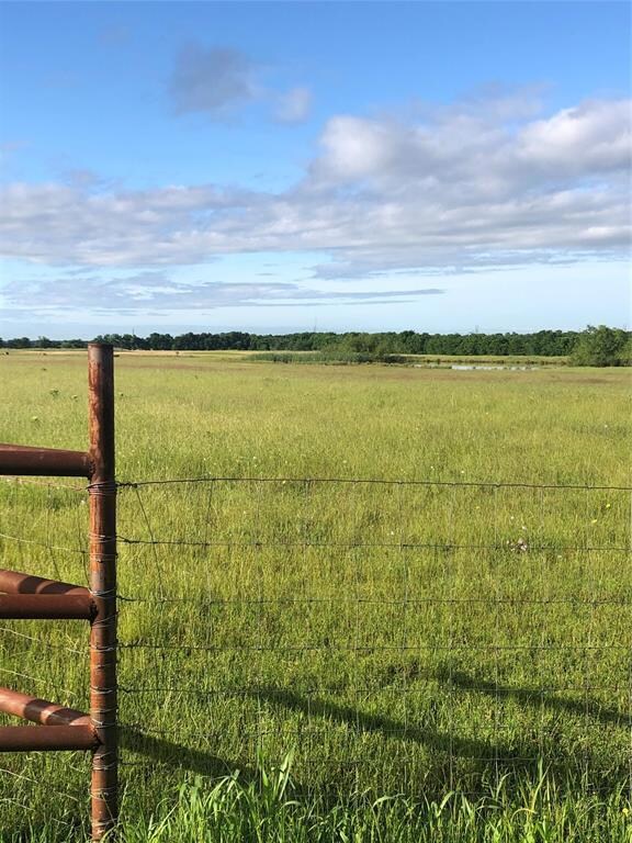 1899 County Road 4306, Greenville, TX 75401 - photo 4