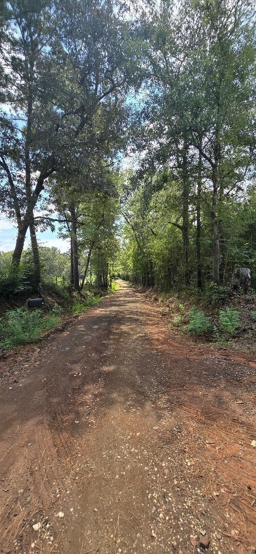 427 County Road 4822, Timpson, TX 75975 - photo 5