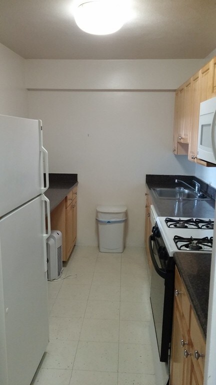 10 Emerson Place unit 24, Boston, MA 02114 - photo 5