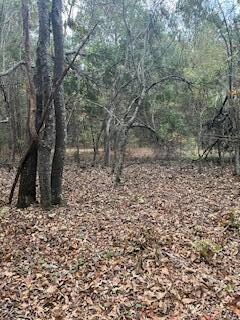 EBH A4-1A Wendell Ln unit EBH A4-1A, Wagener, SC 29164 - photo 4