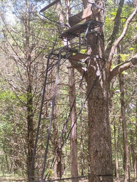 125 Way, Protem, MO 65733 - photo 5