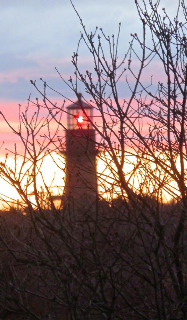 11B Rose Meadow Way, Aquinnah, MA 02535 - photo 5