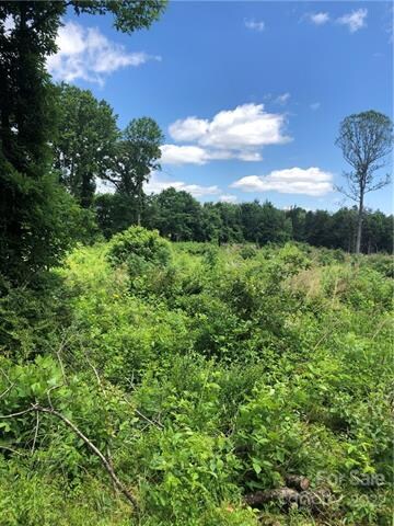 000 Brookview Rd, Statesville, NC 28625 - photo 2