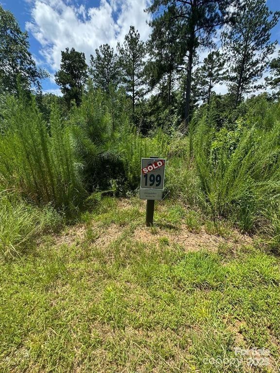 2169 Windom Peak Summit unit 199, Connelly Springs, NC 28612 - photo 6