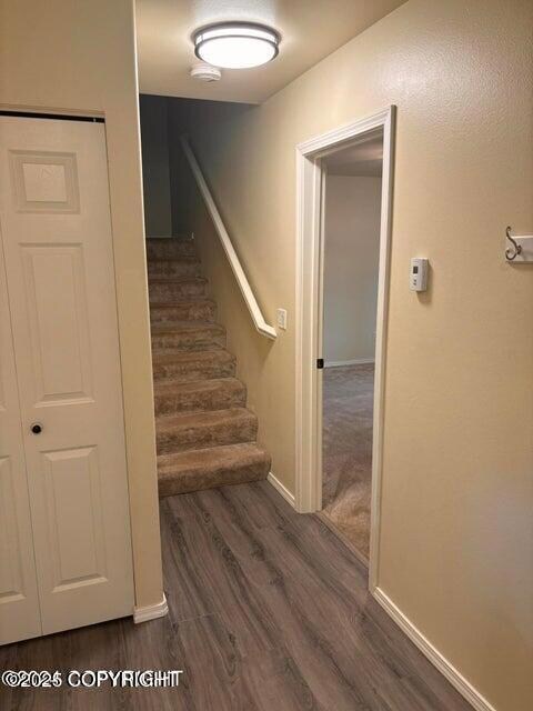 20240723002854780558000000-o