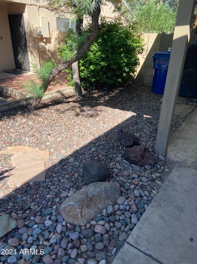 Side Yard