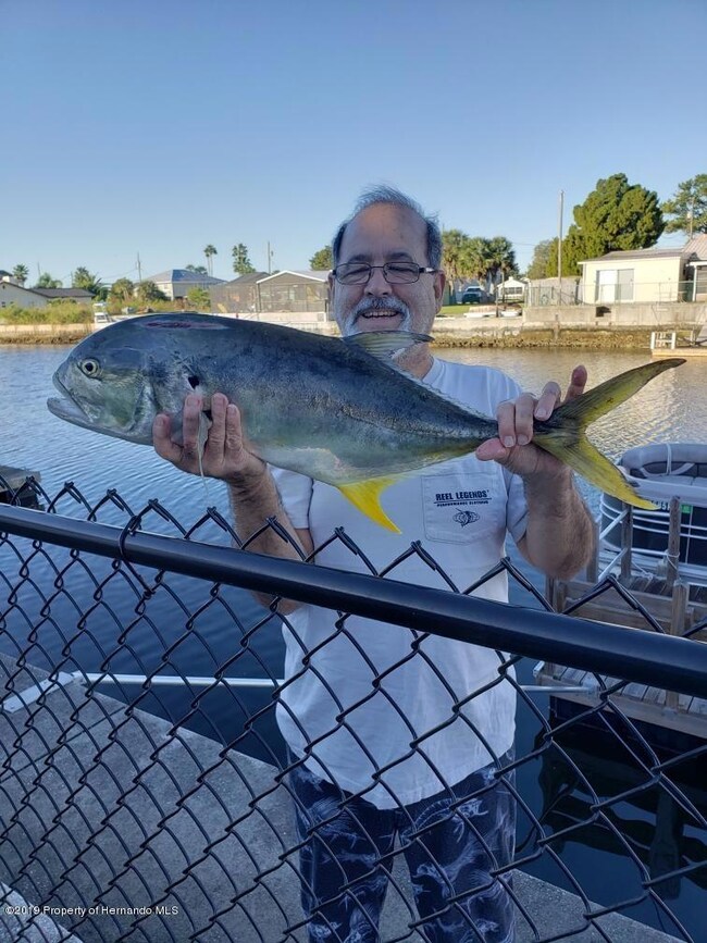 4175 Yellow Tail