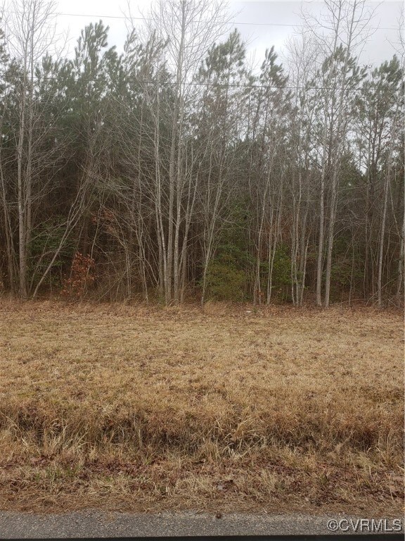 7016 Chippokes Rd, Spring Grove, VA 23881 - photo 4