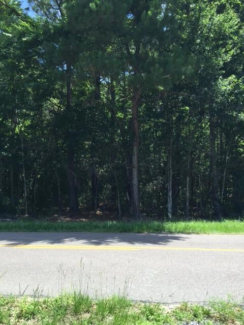 Theodore Road 1