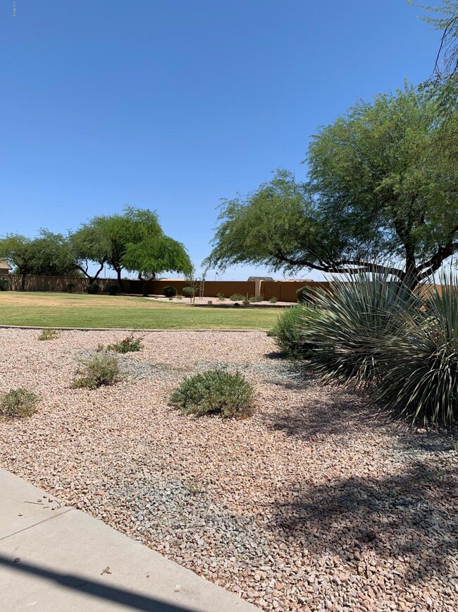 2019 - NOPAL 6