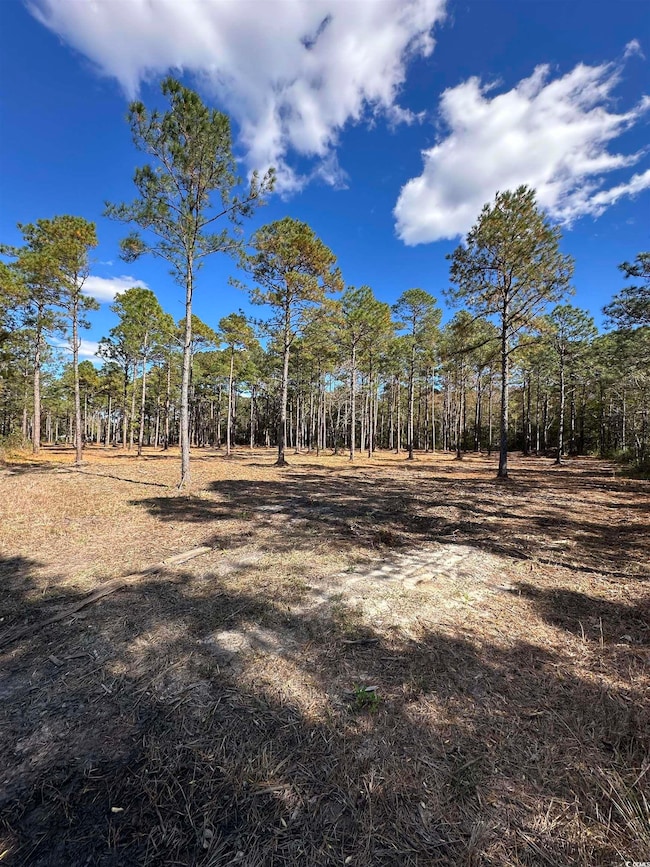 TBD Highway 707, Myrtle Beach, SC 29588 - photo 6