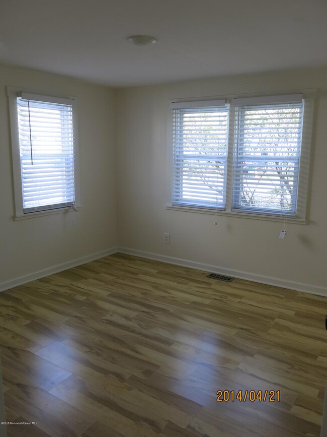 cedar5