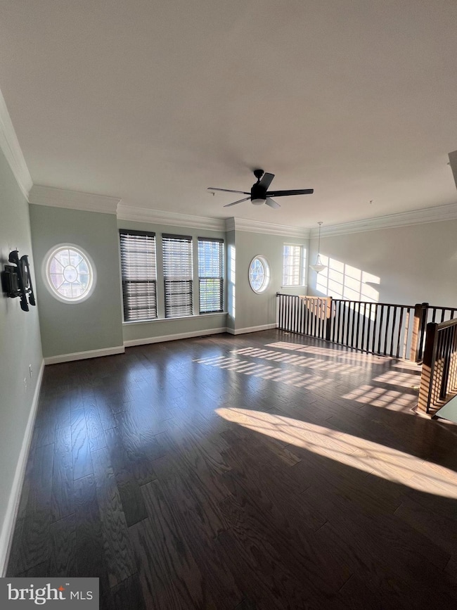 7811 Loblolly Way, Hanover, MD 21076 - photo 7