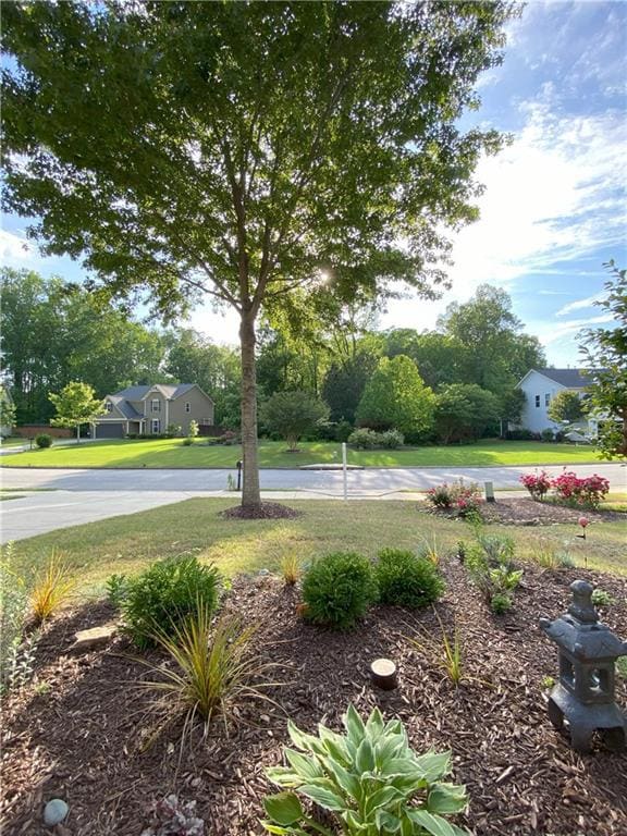 View of front yard from the front porch