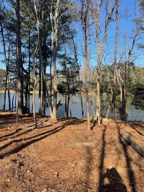 22080 Verlinda Landing N, Cape Charles, VA 23310 - photo 7