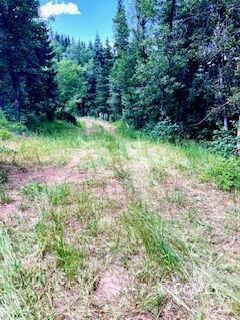 Cut driveway