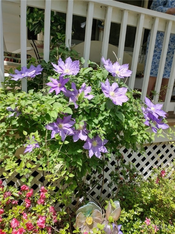 5801 Collins Run Pkwy, Providence Forge, VA 23140 - photo 5