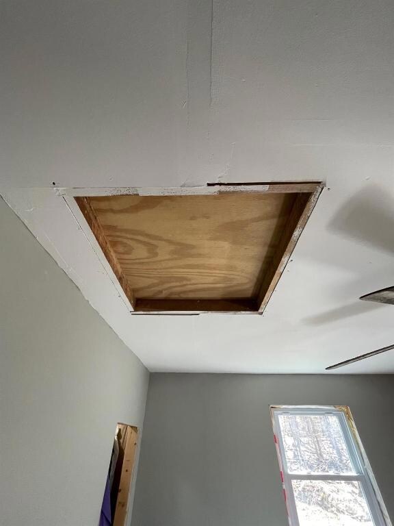 attic/ storage space