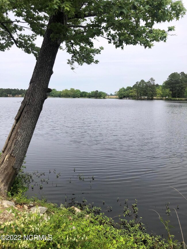 Lake Wilson 2