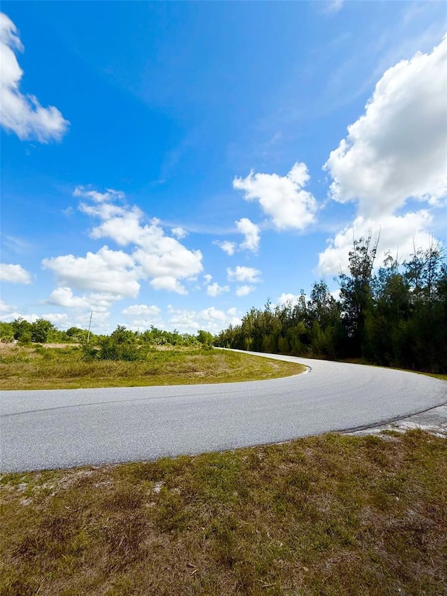 29276 Meadowlark Ln, Punta Gorda, FL 33982 - photo 3