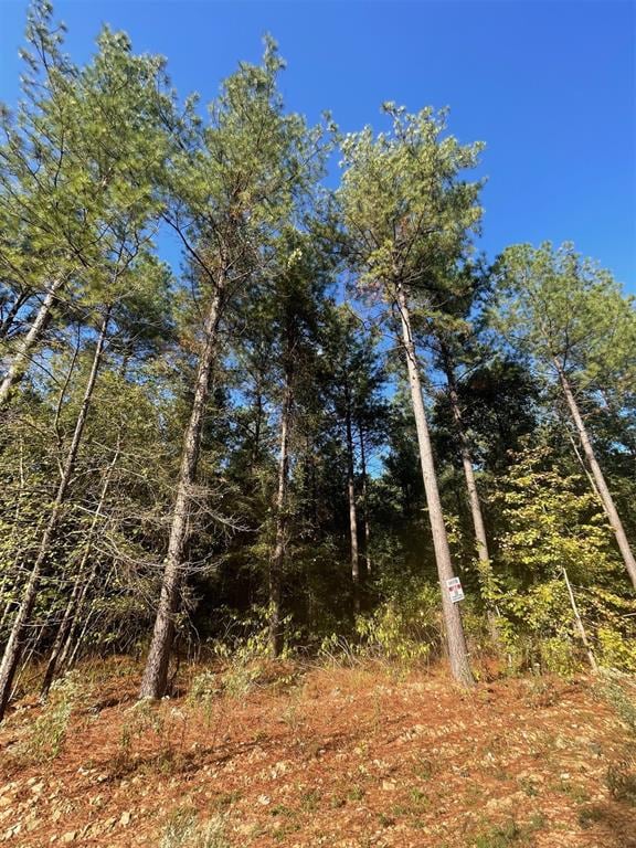 758 Timber Creek Trails South XI, Broken Bow, OK 74728 - photo 3