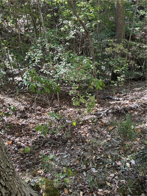 0 Pickering Dr unit 1230504, Bella Vista, AR 72714 - photo 5