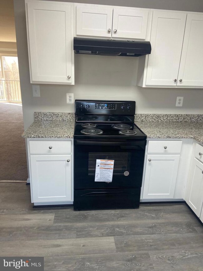 5772 Indian Cedar Ct, Frederick, MD 21703 - photo 3