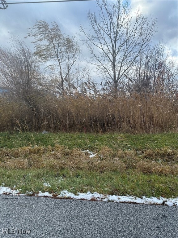 7440 Clover Ave, Mentor, OH 44060 - photo 2