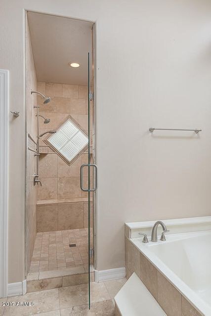Master Shower and Tub
