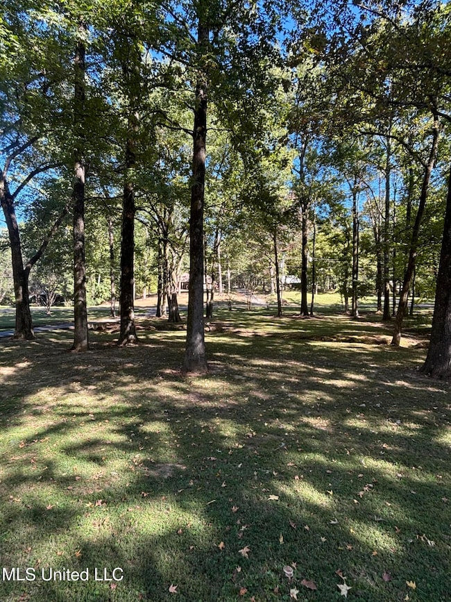 7465 Broken Hickory Dr, Walls, MS 38680 - photo 7