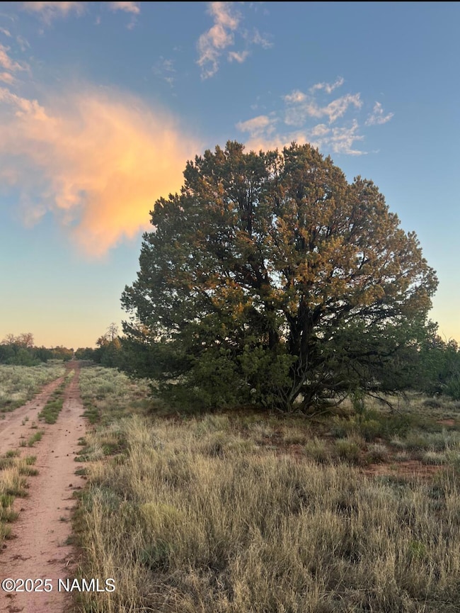 4500 N Bull Run Rd, Williams, AZ 86046 - photo 5