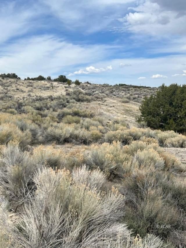 009 Grant Ave, Spring Creek, NV 89815 - photo 4