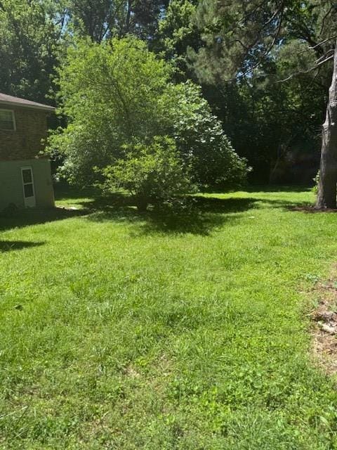 View of grassy yard