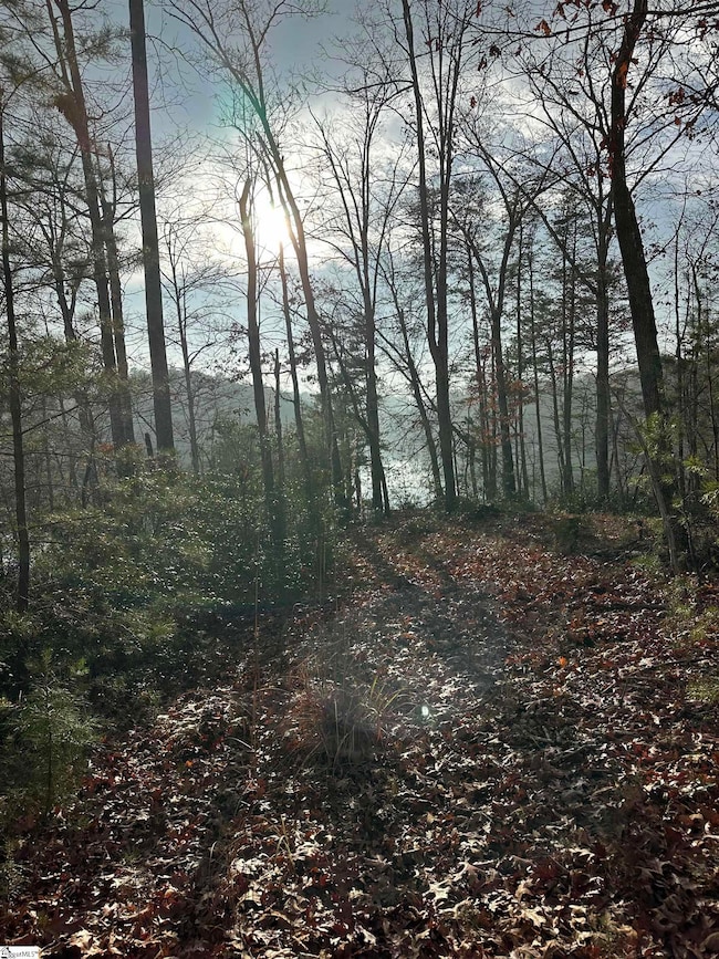 00 Jackson Cove Pkwy, Mill Spring, NC 28756 - photo 4