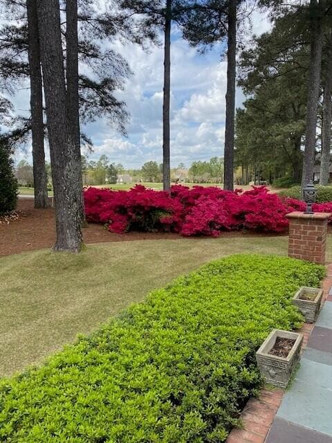 134 Foxhound Run Rd, Aiken, SC 29803 - photo 5