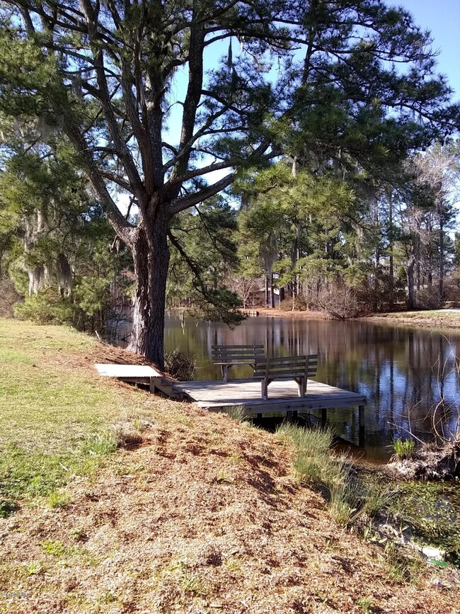 Pond front