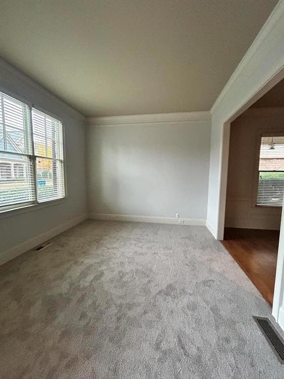 Spare front room with crown molding and carpet flooring
