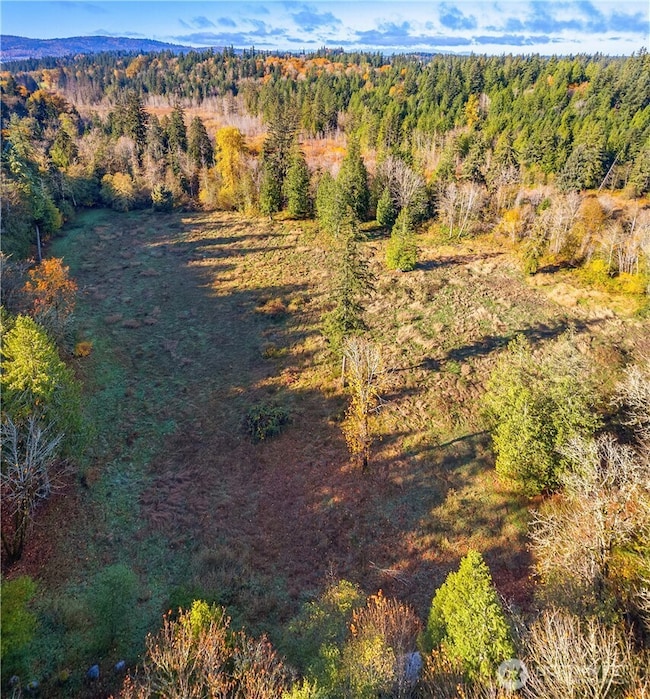 25520 SE Old Black Nugget Rd, Issaquah, WA 98029 - photo 5