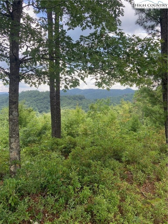 Lot 14 Lady's Mantle Ln, Ferguson, NC 28624 - photo 2