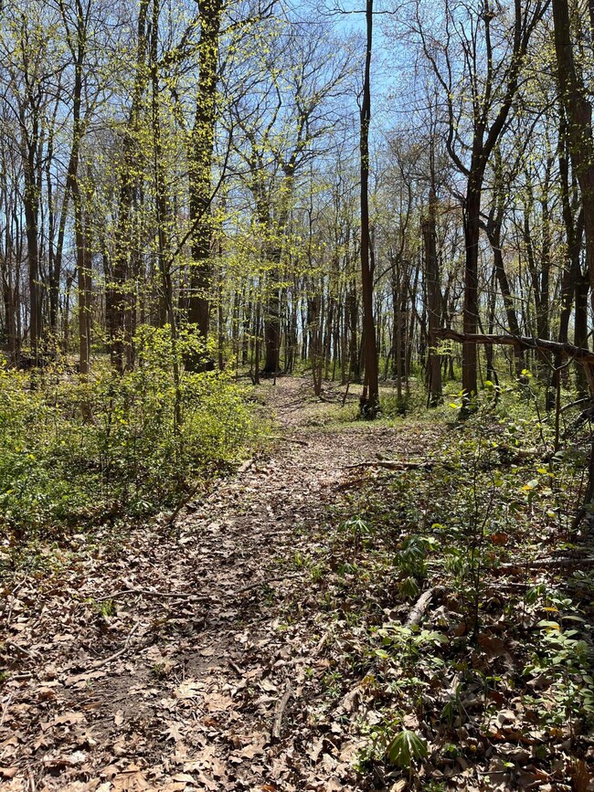 More Paths