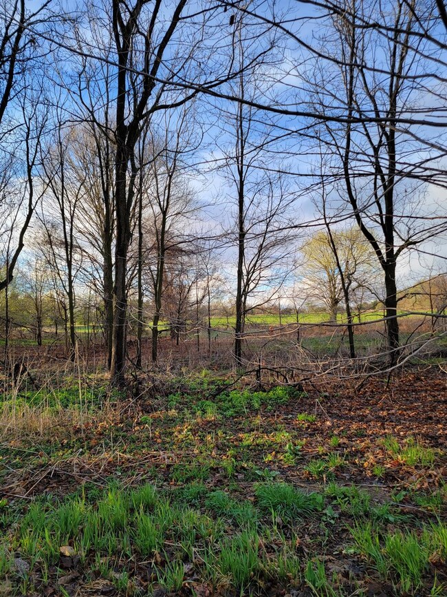 0 Gross Rd unit 23036662, Lima Township, MI 48130 - photo 6