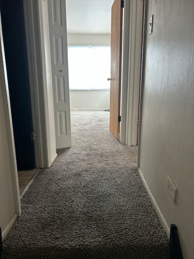 709 Spring Ct unit 5, University Park, IL 60484 - photo 4