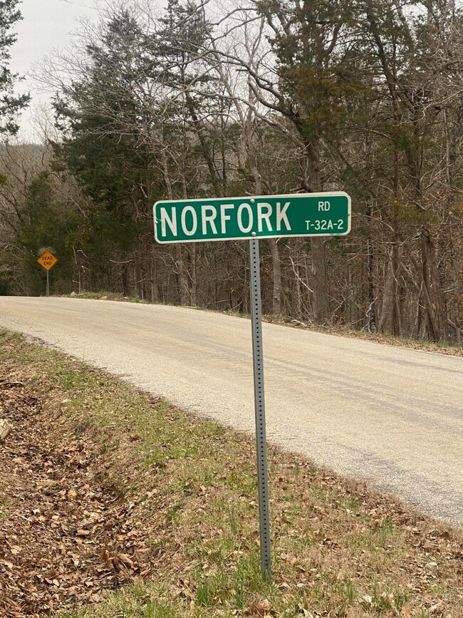 norfork IMG3