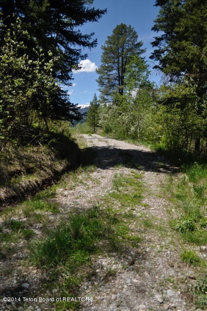 driveway to possible building site