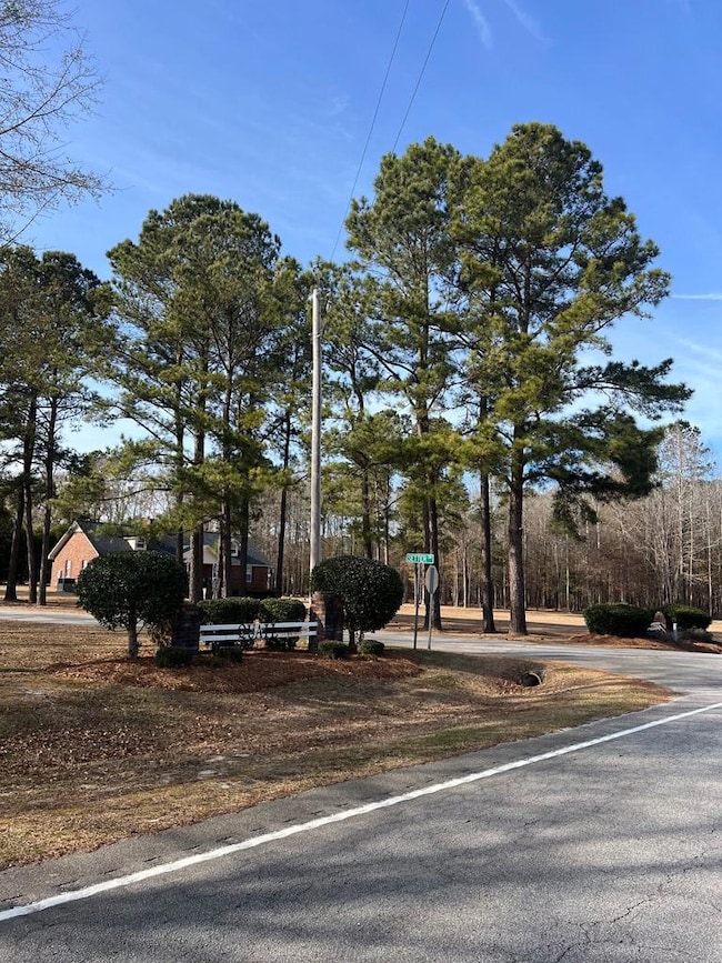 TBD S Carolina 260, Manning, SC - photo 5