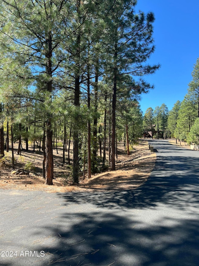 1450 Tia Cir unit 78, Show Low, AZ 85901 - photo 4