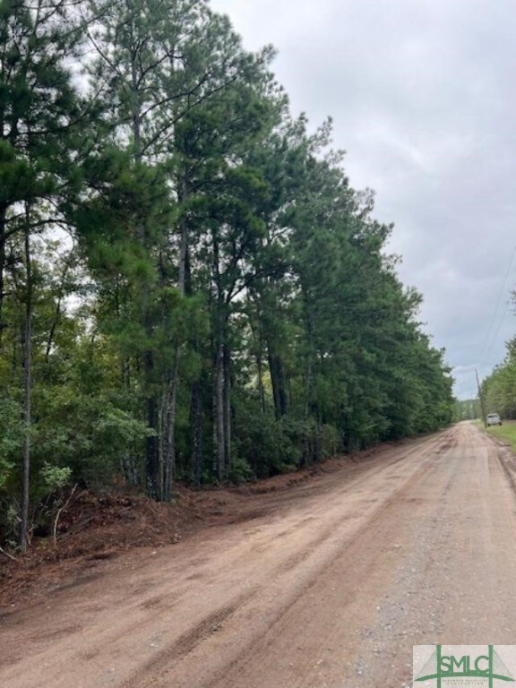 Tract 3 0 Blue Jay Rd, Guyton, GA 31312 - photo 3