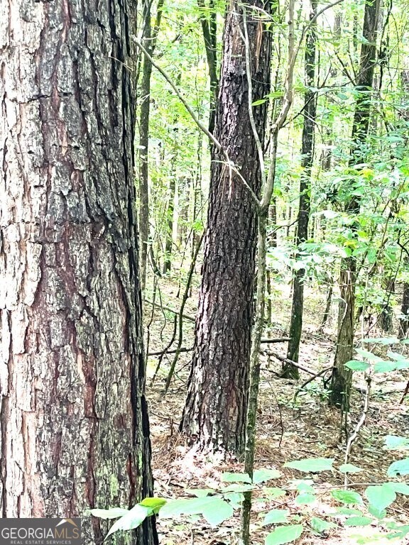 0 Georgia 22, Rayle, GA 30660 - photo 3